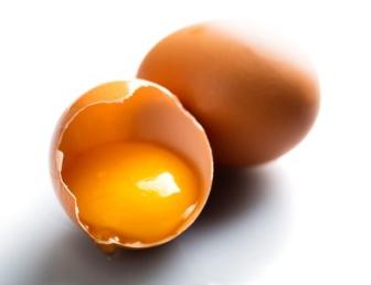 鸡蛋用于伤口愈合